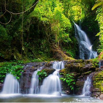Artwork thumbnail, Lamington National Park by Adrian Alford Photography