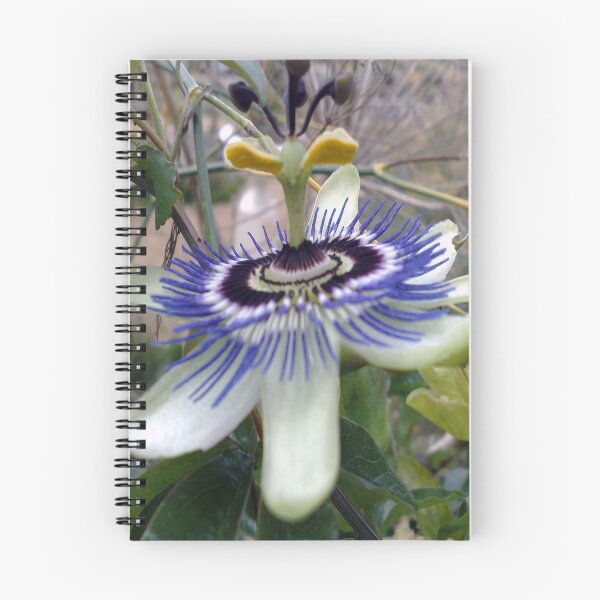 Item preview, Passion Flower  designed and sold by Merice  Ewart Marshall.
