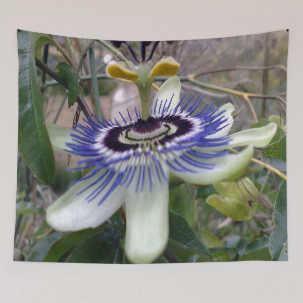 Item preview, Passion Flower  designed and sold by Merice  Ewart Marshall.
