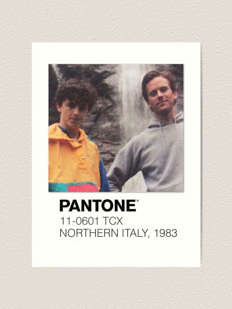 Pantone Call Me By Your Name Polaroid Art Print By Wurlld Redbubble