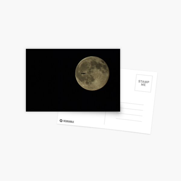 Moon Flyby Postcard