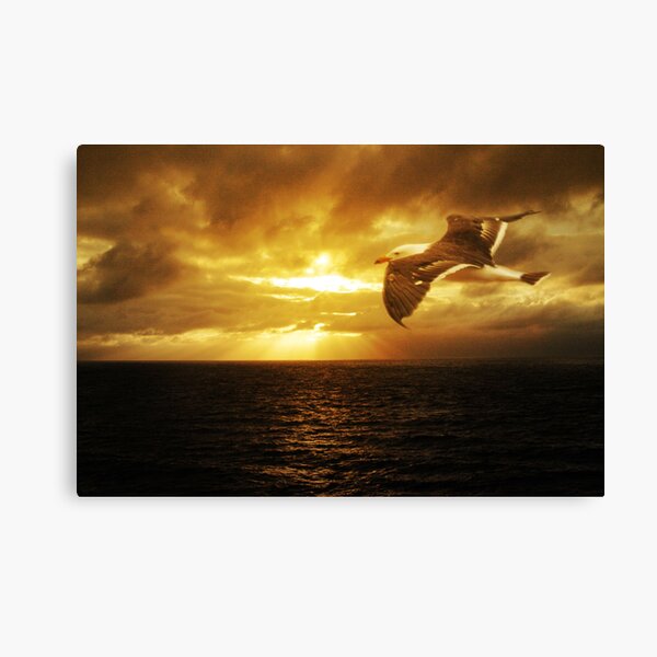 Dawn, Cape Du Couedic. K.I. Canvas Print