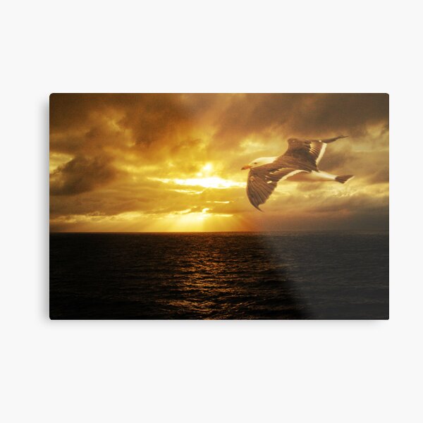 Dawn, Cape Du Couedic. K.I. Metal Print