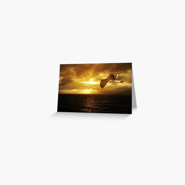 Dawn, Cape Du Couedic. K.I. Greeting Card