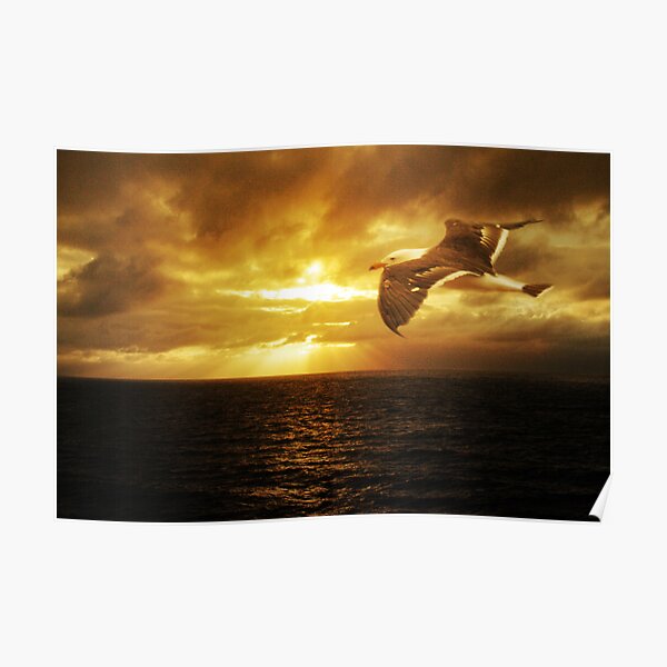 Dawn, Cape Du Couedic. K.I. Poster