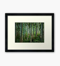 Enchanted Forest In Green: Malatya, Turkey Framed Print