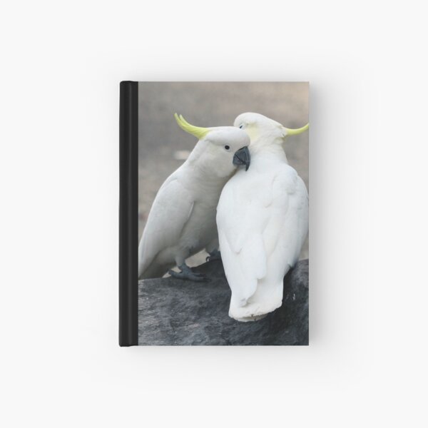Snuggles Hardcover Journal