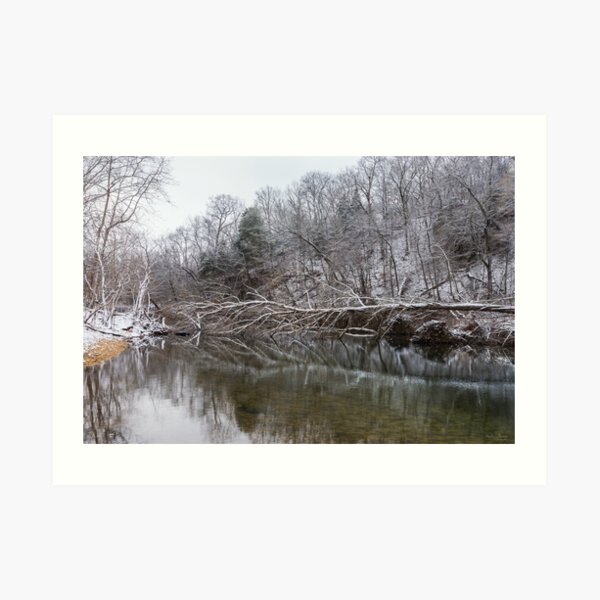 Fallen Reflections At Finley Art Print