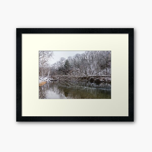 Fallen Reflections At Finley Framed Art Print