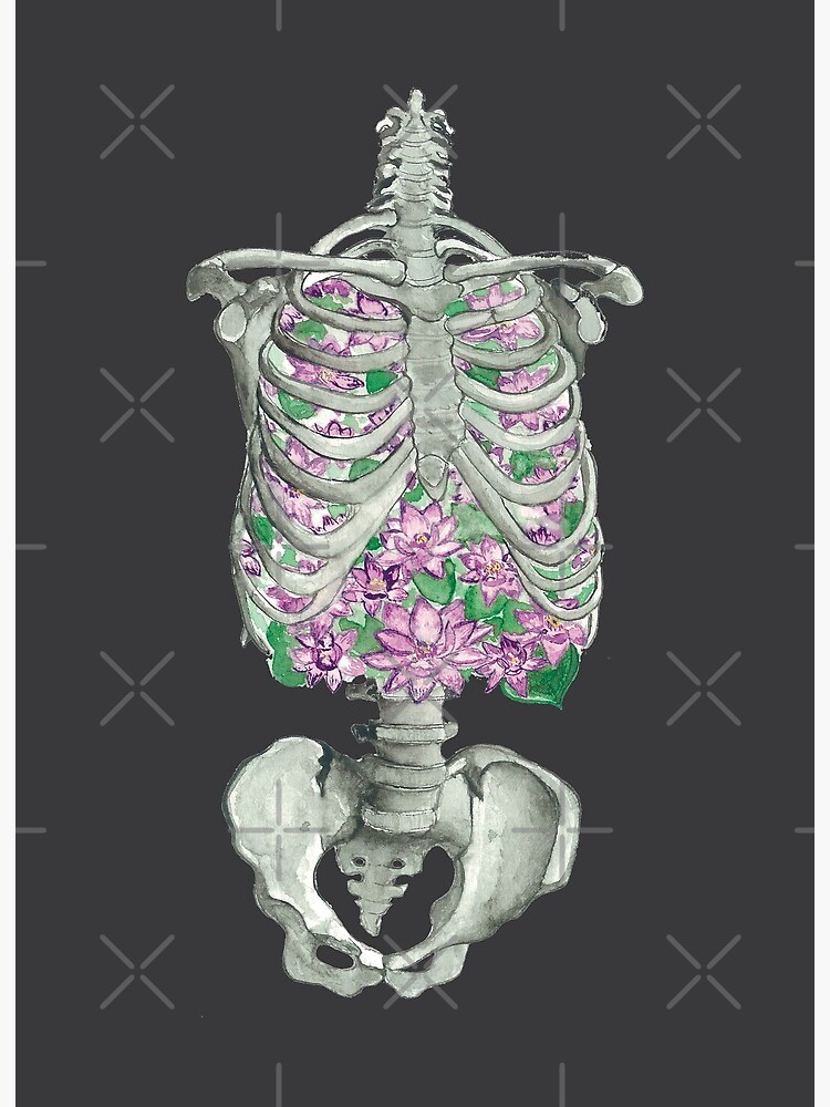 Columna Vertebral. Acuarela sobre papel. Anatomía, huesos, Ilustración.  29,7 x 42 cm. Obra original