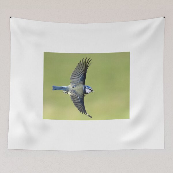 Item preview, Blue Tit in full flight designed and sold by Holmewood.