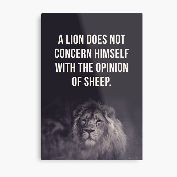 A lion does not concern himself with the opinion of sheep Metal Print