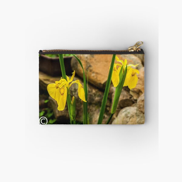 Item preview, Water Iris designed and sold by DPalmer.