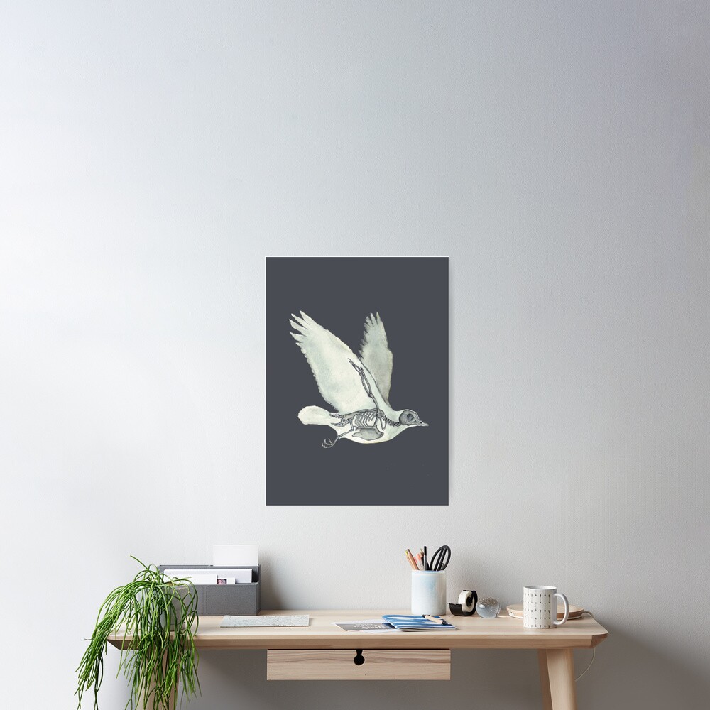 Bird Skeleton: Animal Dove Anatomy Poster