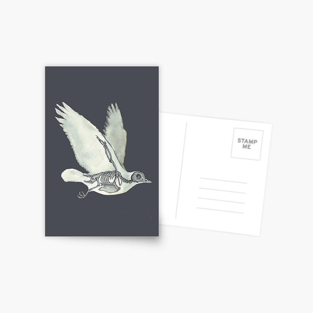 Bird Skeleton: Animal Dove Anatomy Postcard