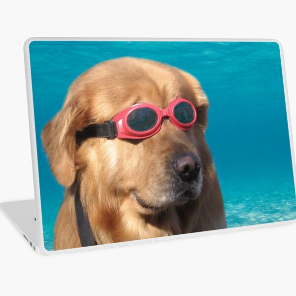 Swimmer Dog Laptop Skin