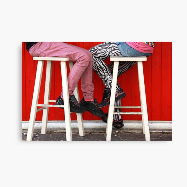 Friends Canvas Print