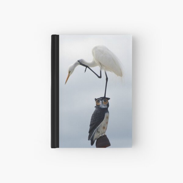 The Egret And The Owl II Hardcover Journal