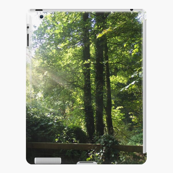 Sun ray in the woodland iPad Snap Case