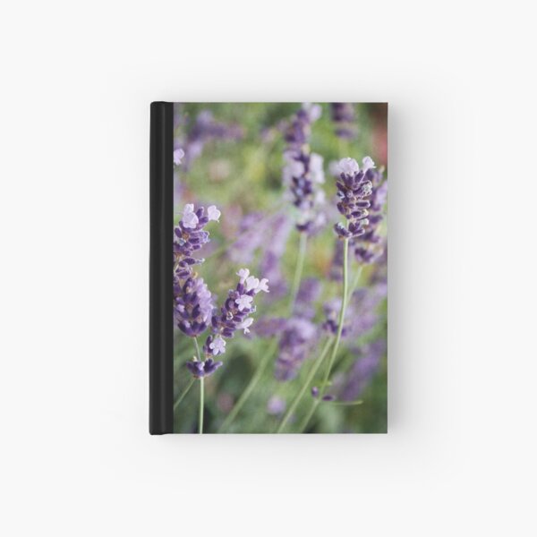Blowing in the Wind Hardcover Journal