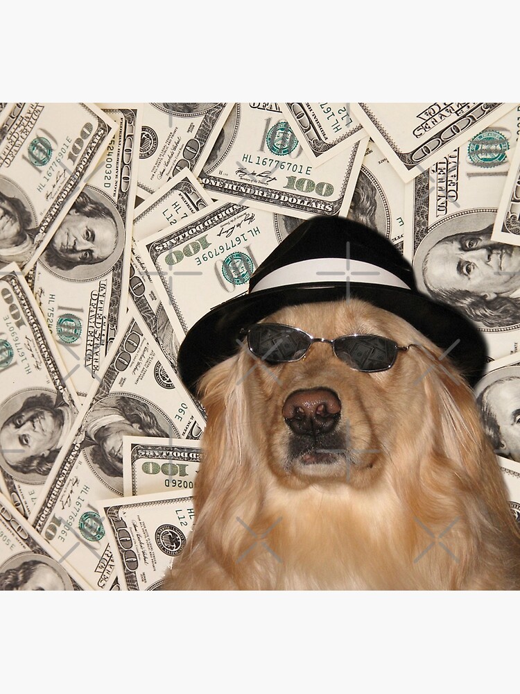 Rich Dog, Doggo #3 by Elisecv