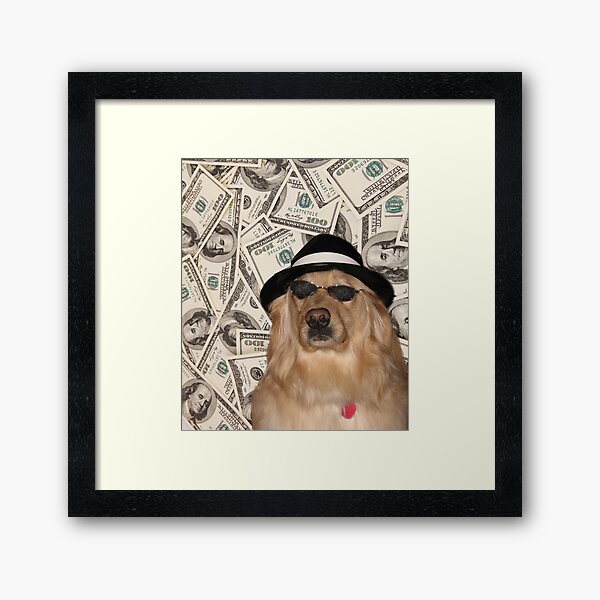 Rich Dog, Doggo #3 Framed Art Print