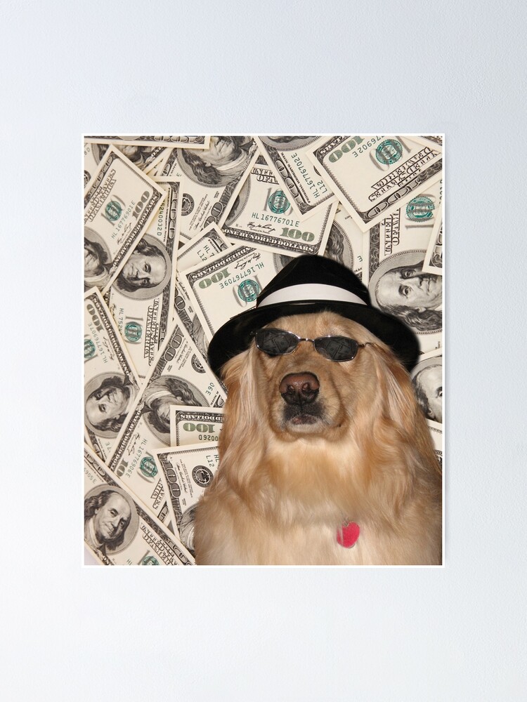 Thumbnail 1 of 3, Poster, Rich Dog, Doggo #3 designed and sold by Elisecv.