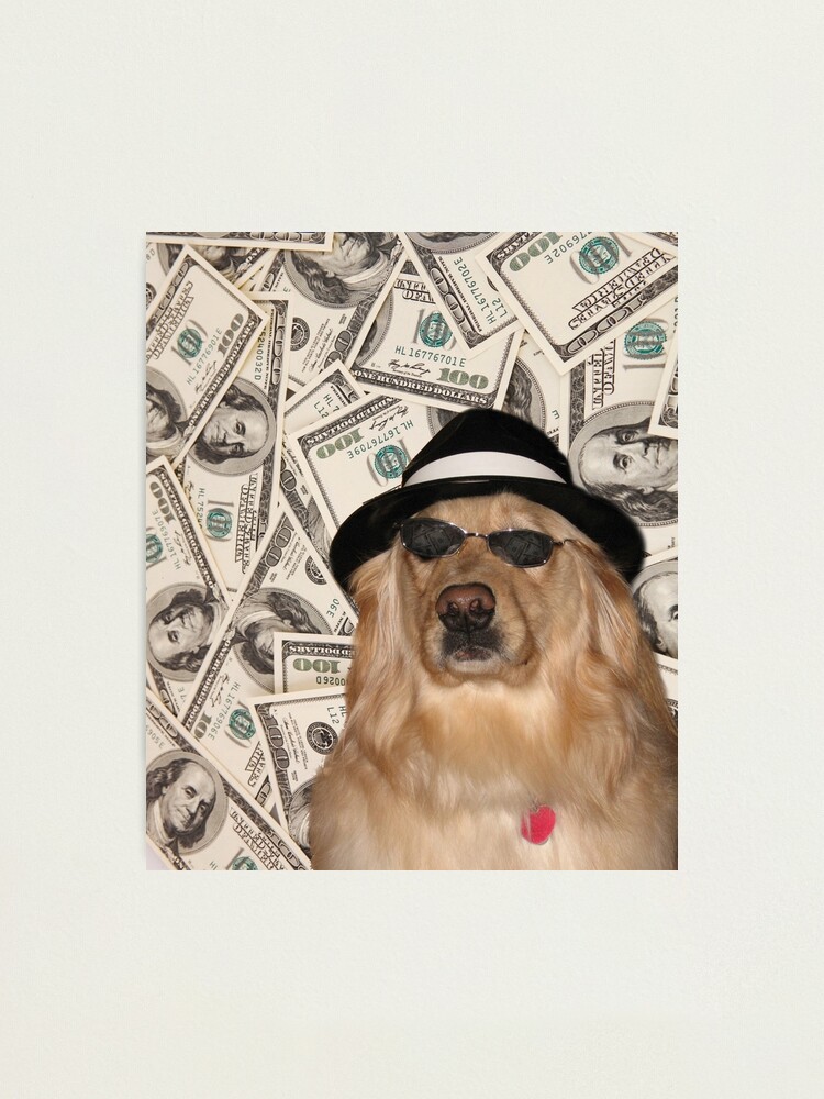 Thumbnail 2 of 3, Photographic Print, Rich Dog, Doggo #3 designed and sold by Elisecv.