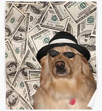 Rich Dog, Doggo #3 Poster
