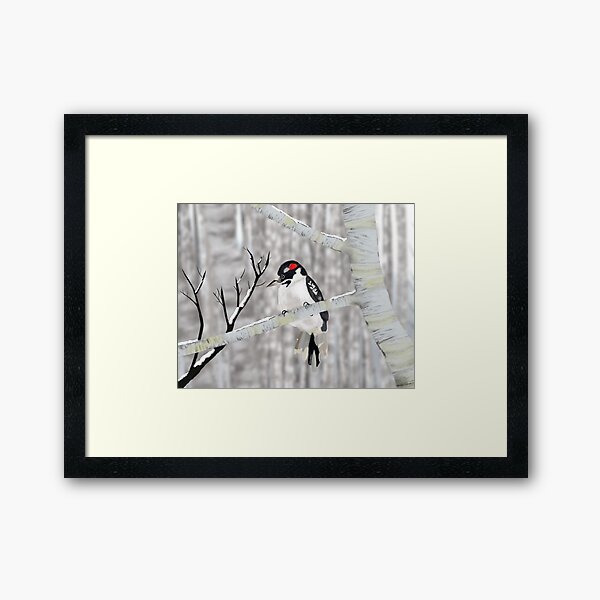 Downy Woodpecker Framed Art Print