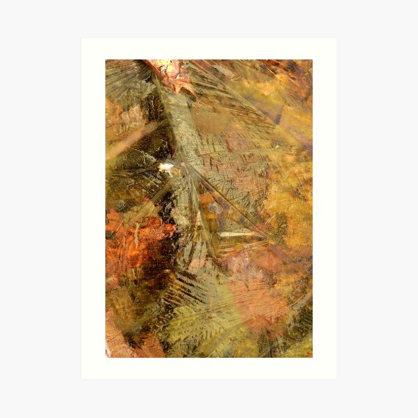 Leaves Beneath Ice Art Print