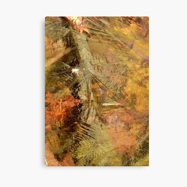 Leaves Beneath Ice Canvas Print