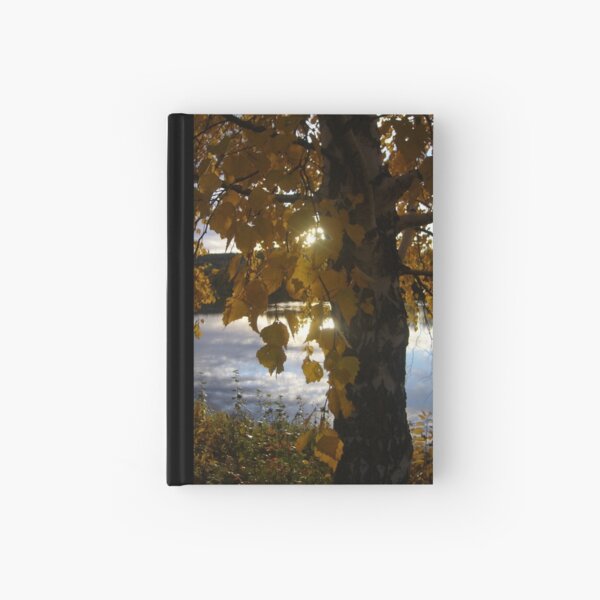 Autumn Birch Hardcover Journal