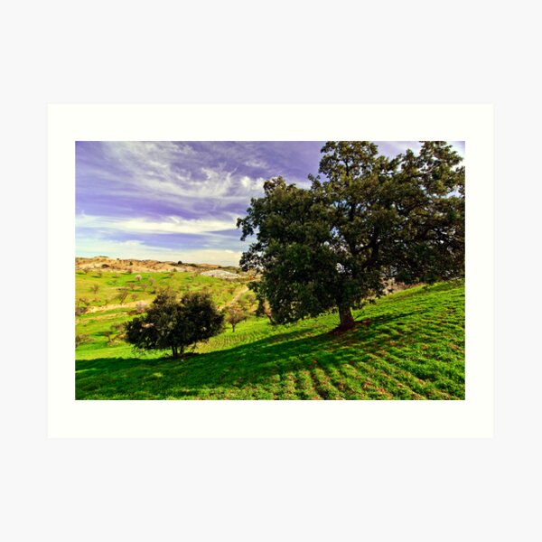 paisaje a color Art Print