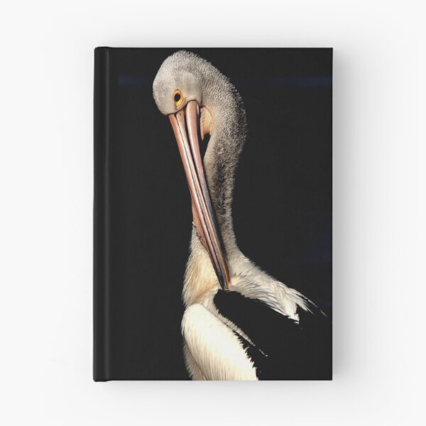 Item preview, Pelican Pose designed and sold by DianaC.