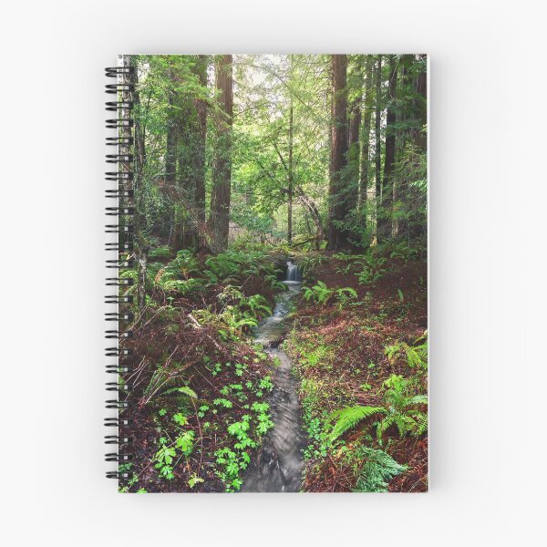 Artikelvorschau, Waldwasserfall entworfen und verkauft von Jeffrey Schwartz Photography.