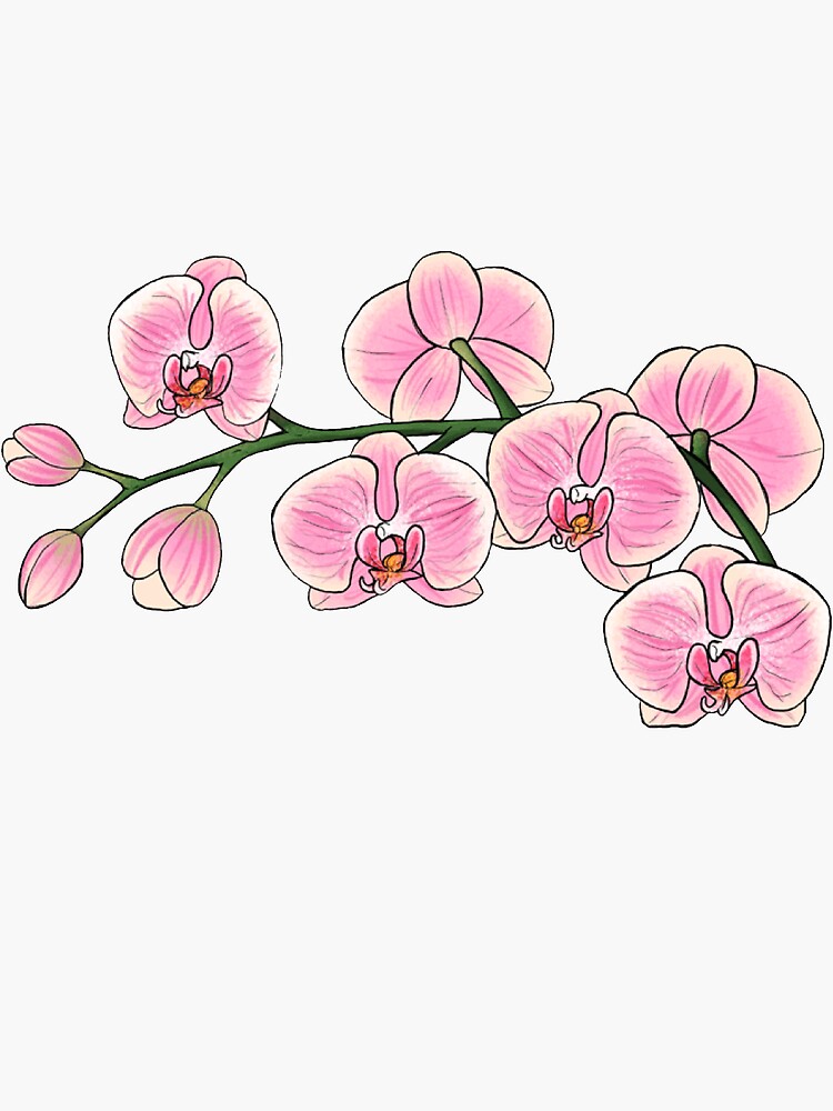 "Pink Orchid Sticker" Sticker for Sale by tullabee Redbubble