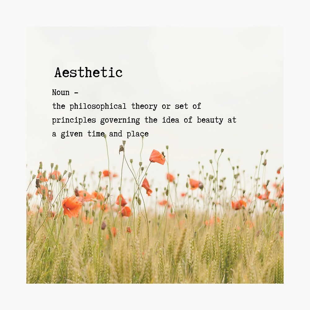 Poster Definition Esthetique Machine A Ecrire Coquelicot Imprimer Par Castlebookshelf Redbubble