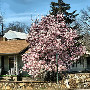 Artwork thumbnail, Spring Time by Rick Friedle