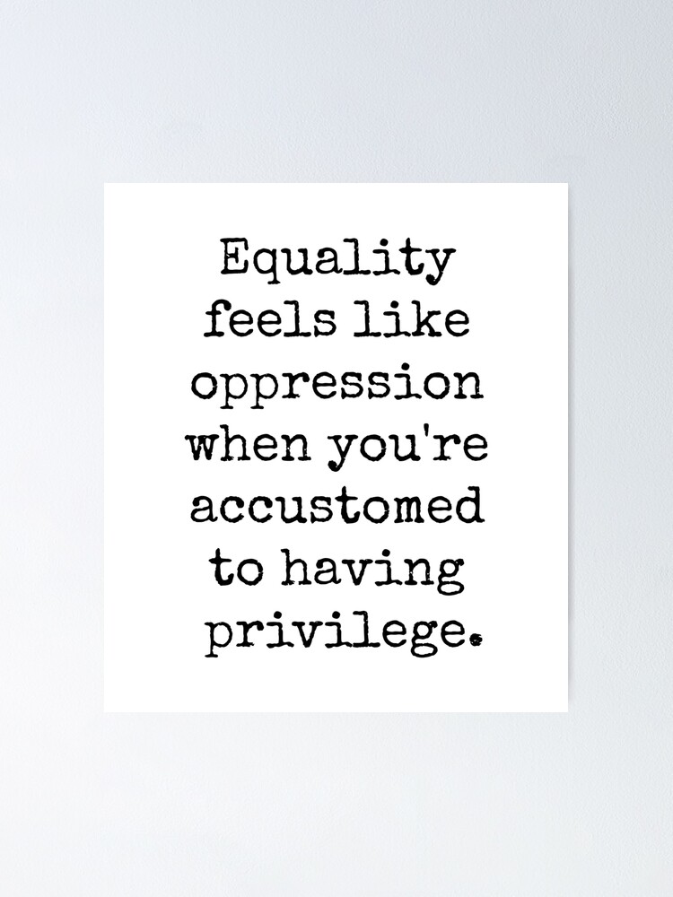 Alternate view of EQUALITY OPPRESSION PRIVILEGE Poster