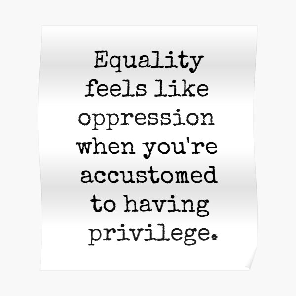 EQUALITY OPPRESSION PRIVILEGE Poster