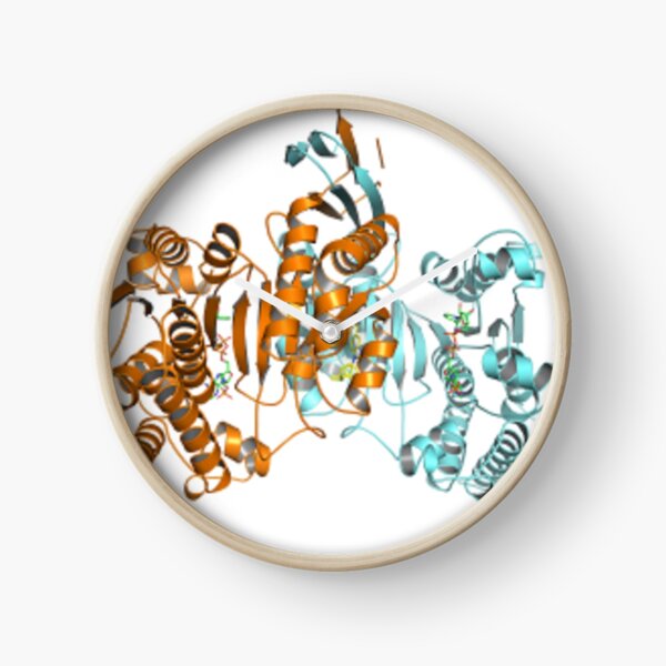 #Enzyme #Informatics, #EnzymeInformatics, particle #chemistry medicine biology science biochemistry shape chemical Clock