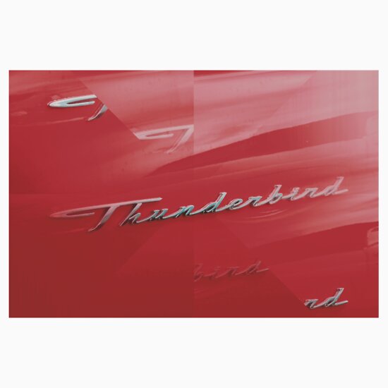 Ford thunderbird logo stickers #9