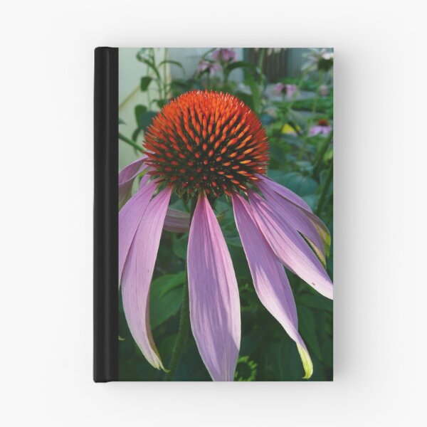 Item preview, echinacea designed and sold by Sofi Gamache.