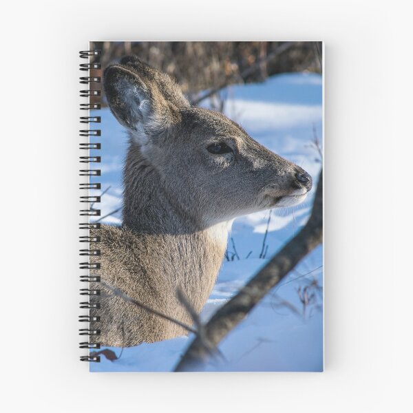 Item preview, White Tailed Deer. designed and sold by CanadianWild418.