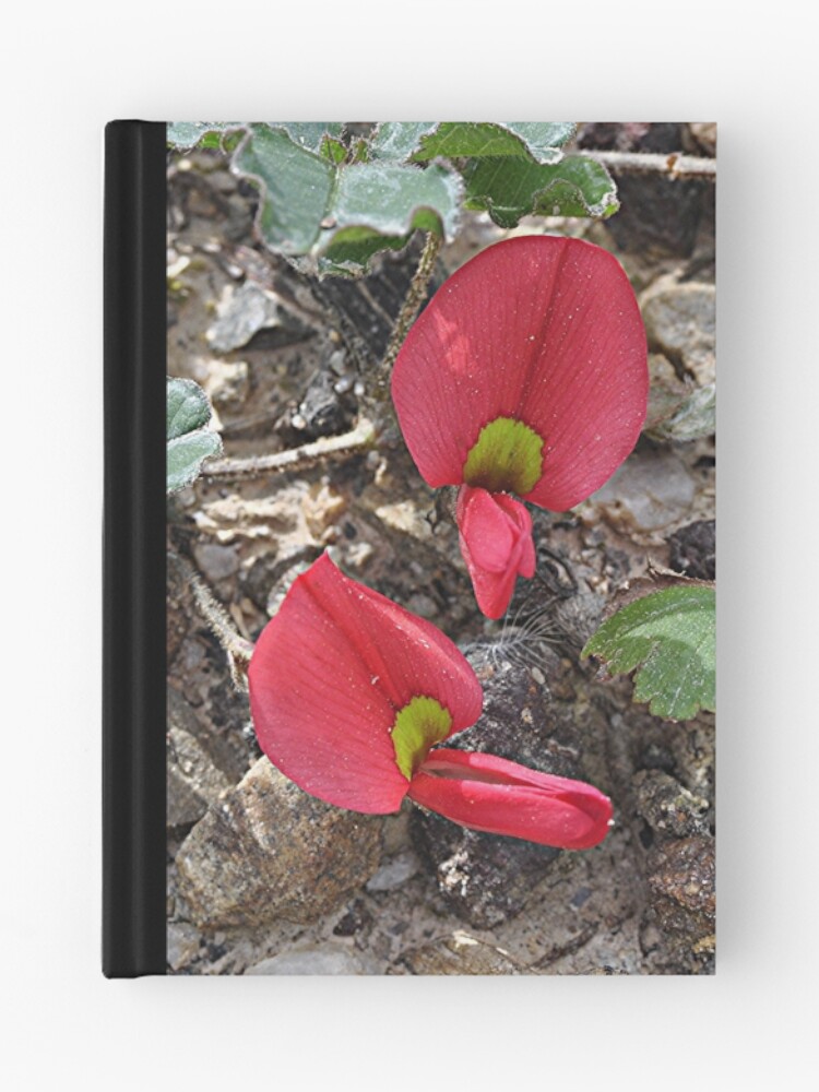 Thumbnail 1 of 3, Journal, Scarlet Runner designed and sold by mtapping.