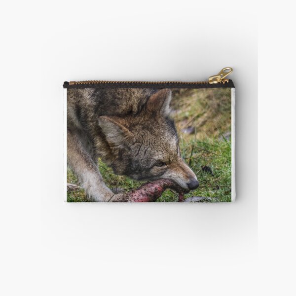 Item preview, Coyote at Vancouver Zoo designed and sold by ashl3ynash.