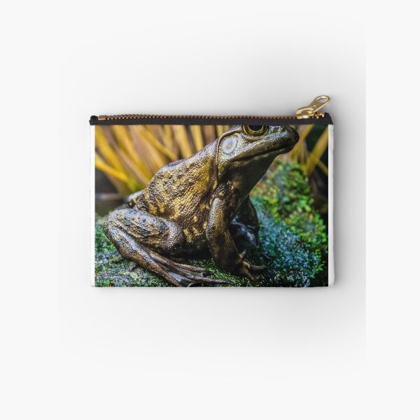 Item preview, Frog at Vancouver Zoo designed and sold by ashl3ynash.