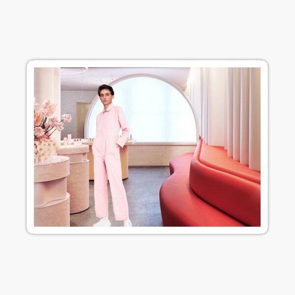 timothée chalamet glossier