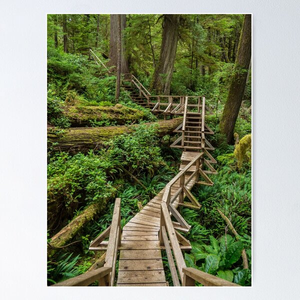 Item preview, Boardwalk, Tofino BC designed and sold by ashl3ynash.